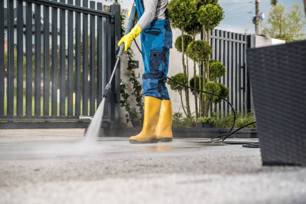 Best Driveway Cleaning and Restoration in Hawley, MN